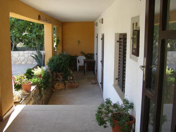נובי ווינודולסקי Apartments Jadranka Povile מראה חיצוני תמונה
